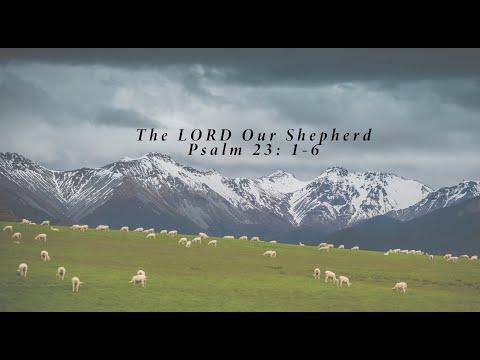 The LORD Our Shepherd (Psalm 23: 1-6) | Good News Bible