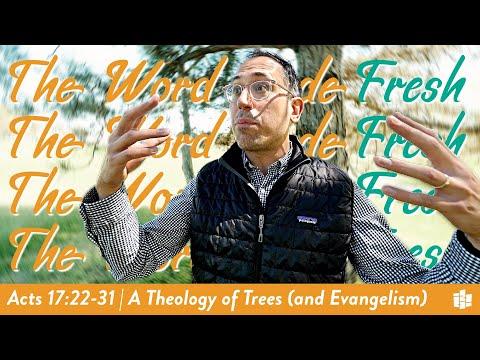 A THEOLOGY OF TREES (AND EVANGELISM) | The Word Made Fresh -- Acts 17:22-31