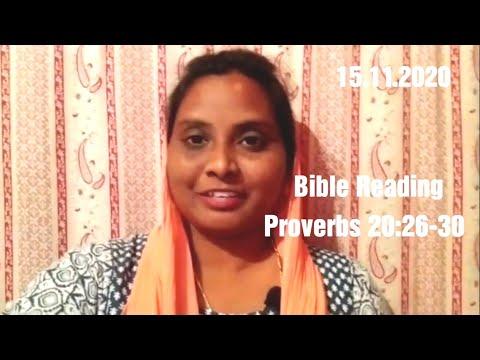 15.11.2020 Bible Reading, Proverbs 20:26-30