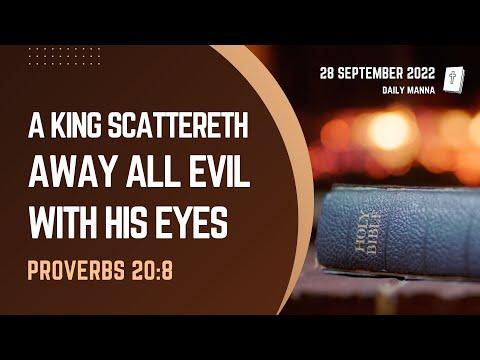 Proverbs 20:8 | A King Scattereth Away All Evil With His Eyes | Daily Manna