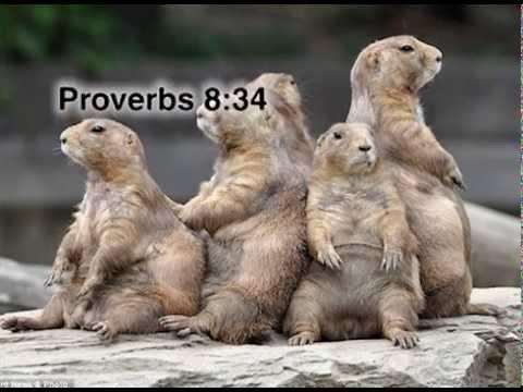 Proverbs 8:34