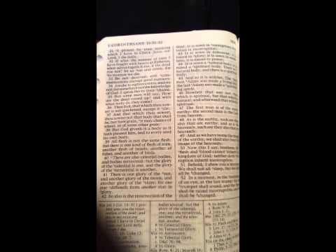 1 Corinthians 15:40-42 "Degrees of glory " Scripture Melody
