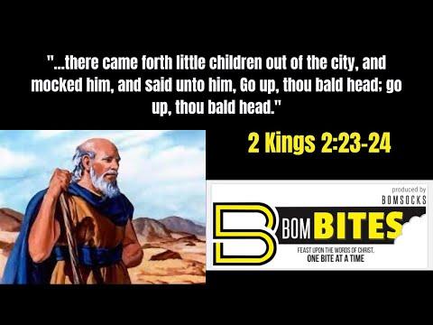BOM-BITES Episode #589 - 2 Kings 2:23-24
