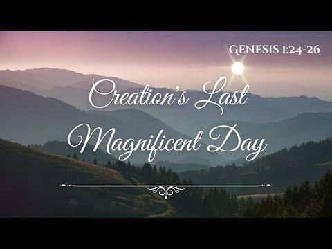 Creation's Last Magnificent Day [ Genesis 1:24-26 ] by Robin Brown