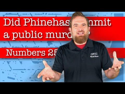 Did Phinehas commit a public murder? - Numbers 25:6-9