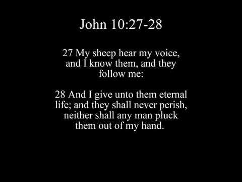 John 10:27-28 Song (KJV Bible Memorization)