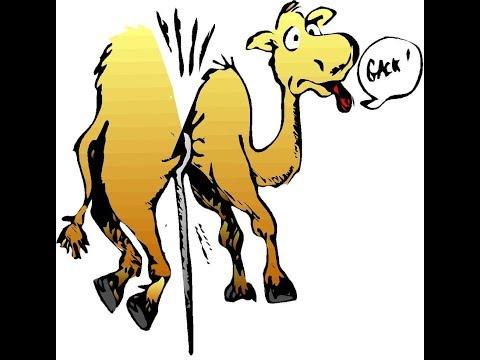Matthew 19:24 Explained - The Camel, The Rich Man, and The Needle