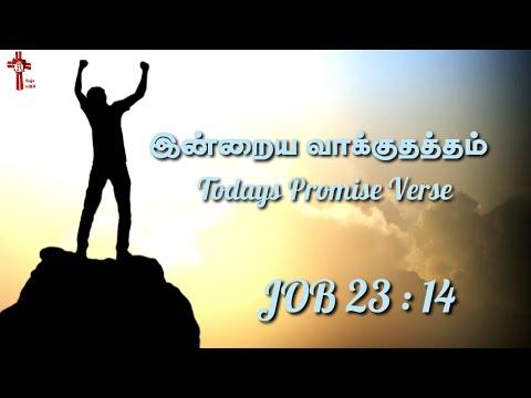 Today's Promise Verse | Job 23:14 | Whatsapp Status | Raja SJRB