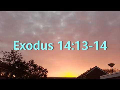 Daily Scripture Day #76 - Exodus 14:13-14