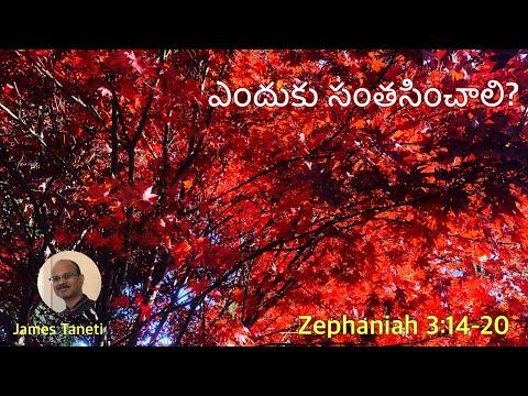 ఎందుకు సంతసించాలి? Zephaniah 3:14-20/Third Sunday of Advent/Telugu Christian Sermons