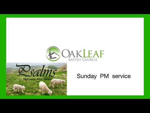 Psalm 149:6-9, 150:1-6 | August 22, 2021 PM | All Will Praise The Lord | Dr Robert Ball | Oakleaf Ba