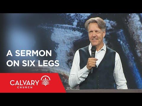 A Sermon on Six Legs - Proverbs 6:6-11 - Skip Heitzig