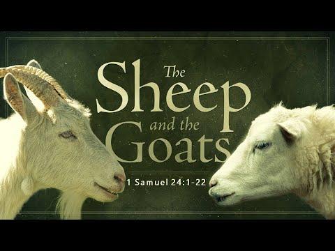 1 Samuel 24:1-22 - The Sheep & the Goats // with Felix Fernandez (Sunday Morning Worship Service)