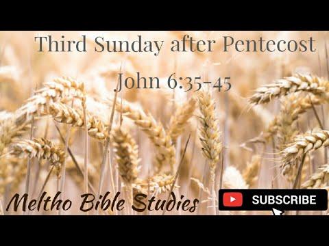 Third Sunday after Pentecost, (St John 6:35-45) 21 June 2020, message by Fr Jijo Joseph Abraham
