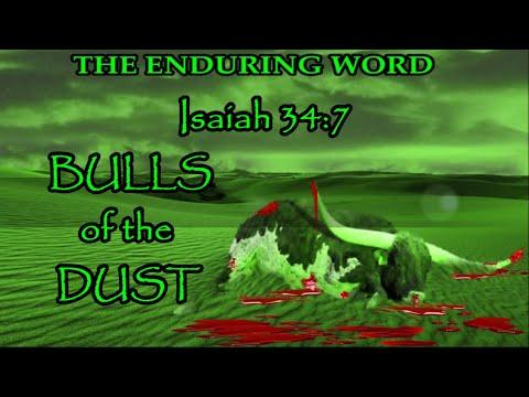 BULLS of the DUST (Isaiah 34:7)