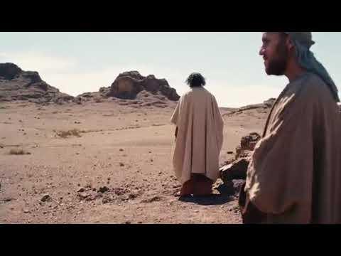 Daily Gospel Reading Video - St. Luke 13:1-9. (English)