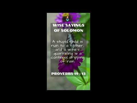 Proverbs 19:13 | NRSV Bible - Wise Sayings of Solomon