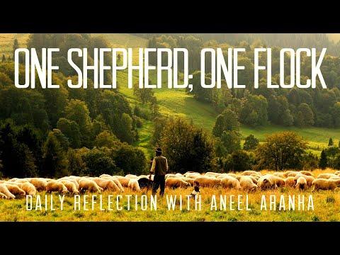 Daily Reflection with Aneel Aranha | John 10:11-18 | May 4, 2020