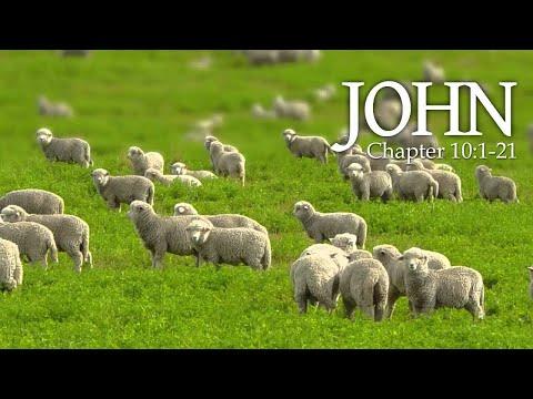 Sermon - John 10:1-21 - The Good Shepherd