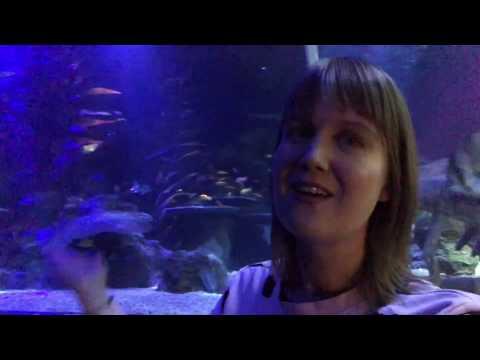 Job 12:7-10 at the aquarium