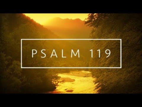 10/4/20 Sun PM - Psalm 119:49-56 A Comforting Hope