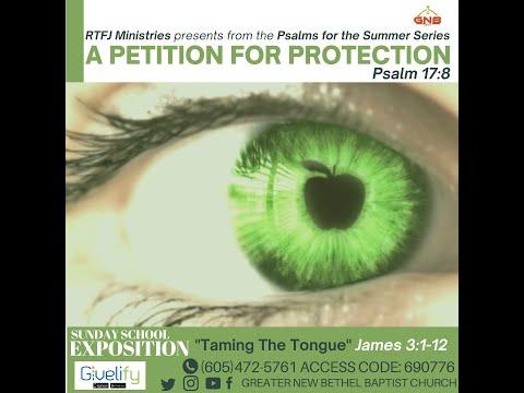 Sunday Morning Worship Service - A Petition for Protection - Psalm 17:8