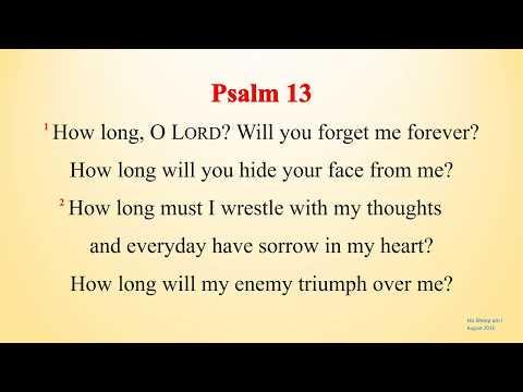 Psalm 13 : 1 - 6 - How long O Lord - w accompaniment (Scripture Memory Song)