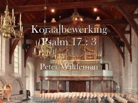 Peter Wildeman - Psalm 17 : 3 - Oude Kerk Maasland