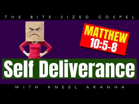 The Bite-Sized Gospel with Aneel Aranha — Matthew 10:5-8
