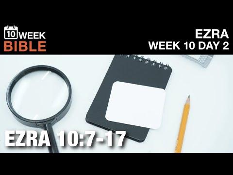 The Investigation | Ezra 10:7-17 | Week 10 Day 2 Study of Ezra