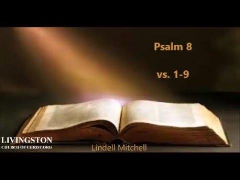 Bible Study 9/4/22 Psalm 8:1-9