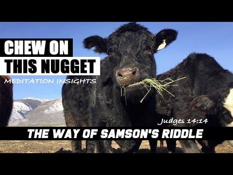 Chew on this Judges 14:14 The way of Samson's riddle