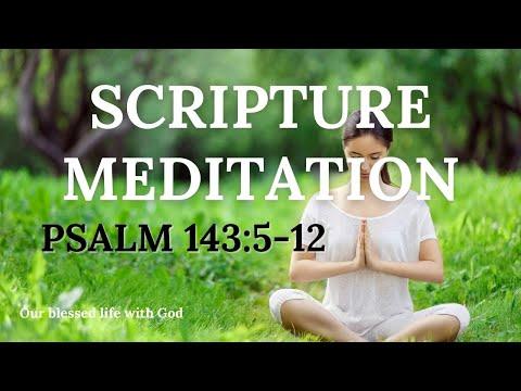 #73 – Scripture Meditation (PSALM 143:5-12)  l   Meditation Music