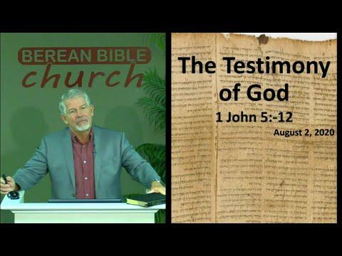 The Testimony of God & the Trinity (1 John 5:9-12)