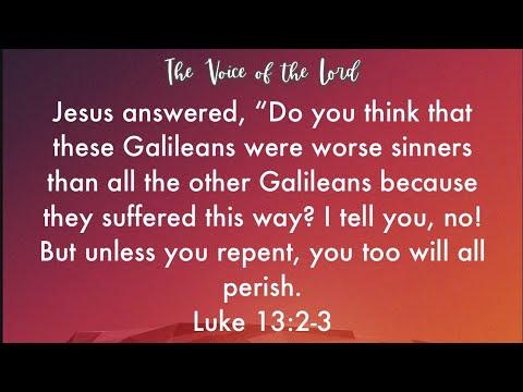 Luke 13:2 3 The Voice of the Lord  July 11, 2022 by Pastor Teck Uy