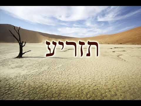Vayikra Paracha Tazria - Leviticus 12:1-13:59