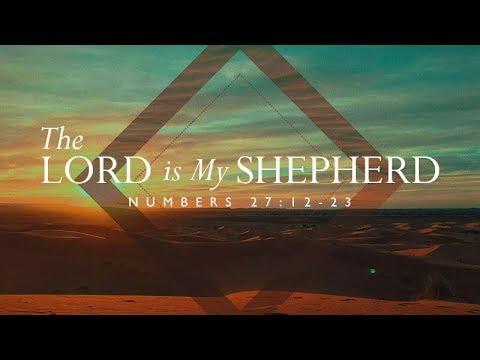 Numbers 27:12-23 | The Lord is My Shepherd | Rich Jones