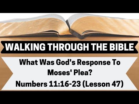 What Was God's Response To Moses' Plea? [Numbers 11:16-23][Lesson 47][WTTB]