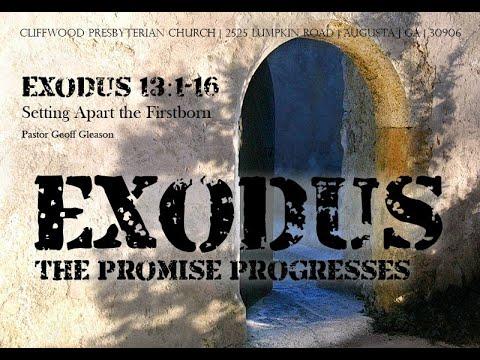 Exodus 13:1-16  "Setting Apart the Firstborn"
