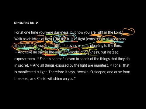 The All-Nourishing Fruit of Light: Ephesians 5:8–14, Part 4