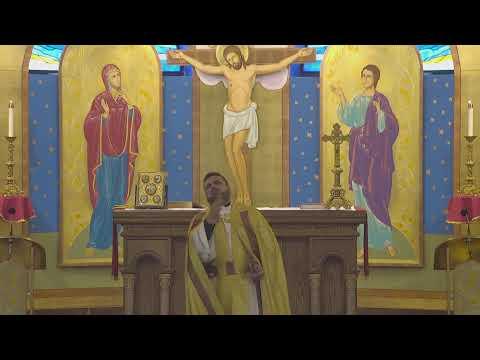 Sunday Homily By Fr. Sameem Balius (luke 6:12-46) 6-26-2022