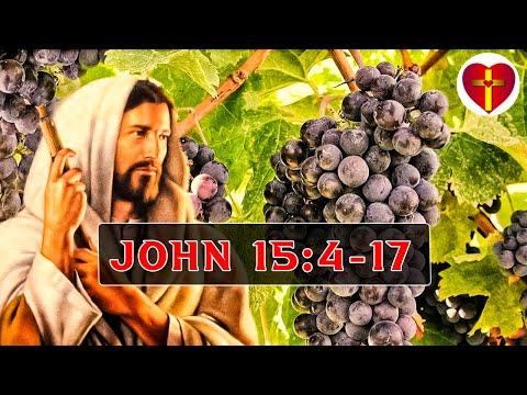Sunday School Lesson |November 8 2020 |John 15:4-17 Abiding Love