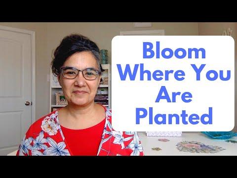 Bloom Where You Are Planted (Jeremiah 29:4-7)