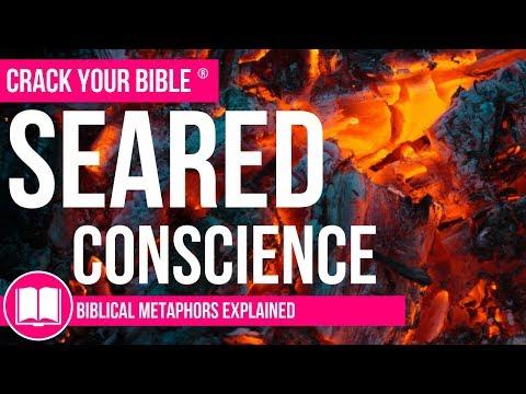 ???? Seared Conscience Explained | Biblical Metaphors | 1 Timothy 4:2