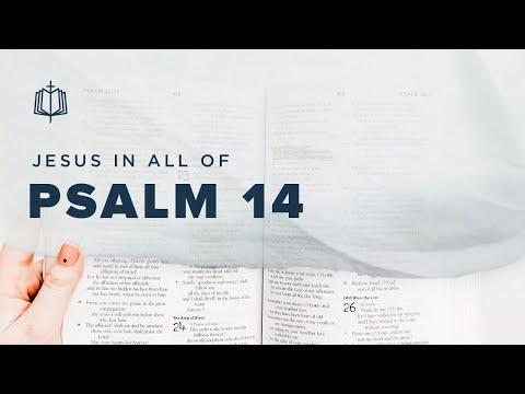 THERE IS NO GOD | Bible Study | Psalm 14