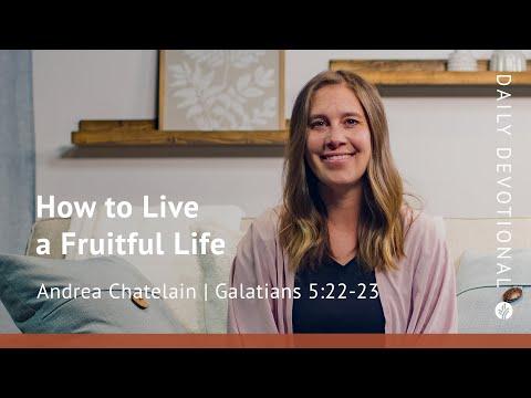 How to Live a Fruitful Life | Galatians 5:22–23 | Our Daily Bread Video Devotional