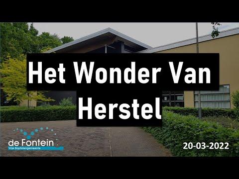 Kerkdienst | Preek | Het Wonder Van Herstel (Jozef 10) | Genesis 41:44-57 | Bert Boer | 20-03-2022