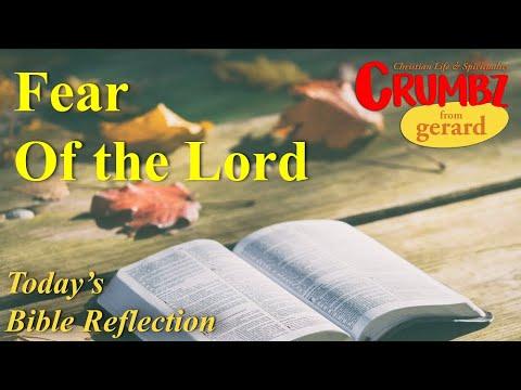 09 Aug  ~ Fear of the Lord ~ Deut 10:12-22 ~ Today’s Bible Reflection