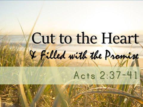 CUT TO THE HEART & FILLED WITH THE PROMISE ACTS 2:37-41 by Pastor Jeff Saltzmann