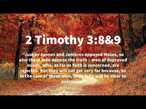 Men Bible Study - 2 Timothy 3:8-9